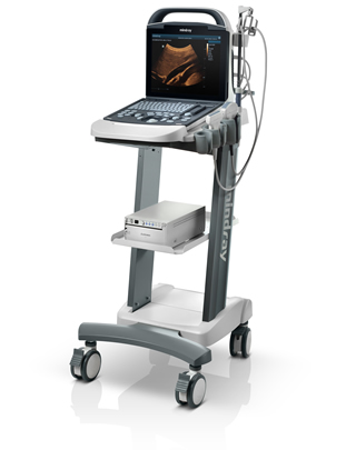 Ergonomics
