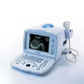 DP-1100 Plus