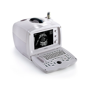 DP-2200 Plus