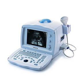 DP-1100 Plus